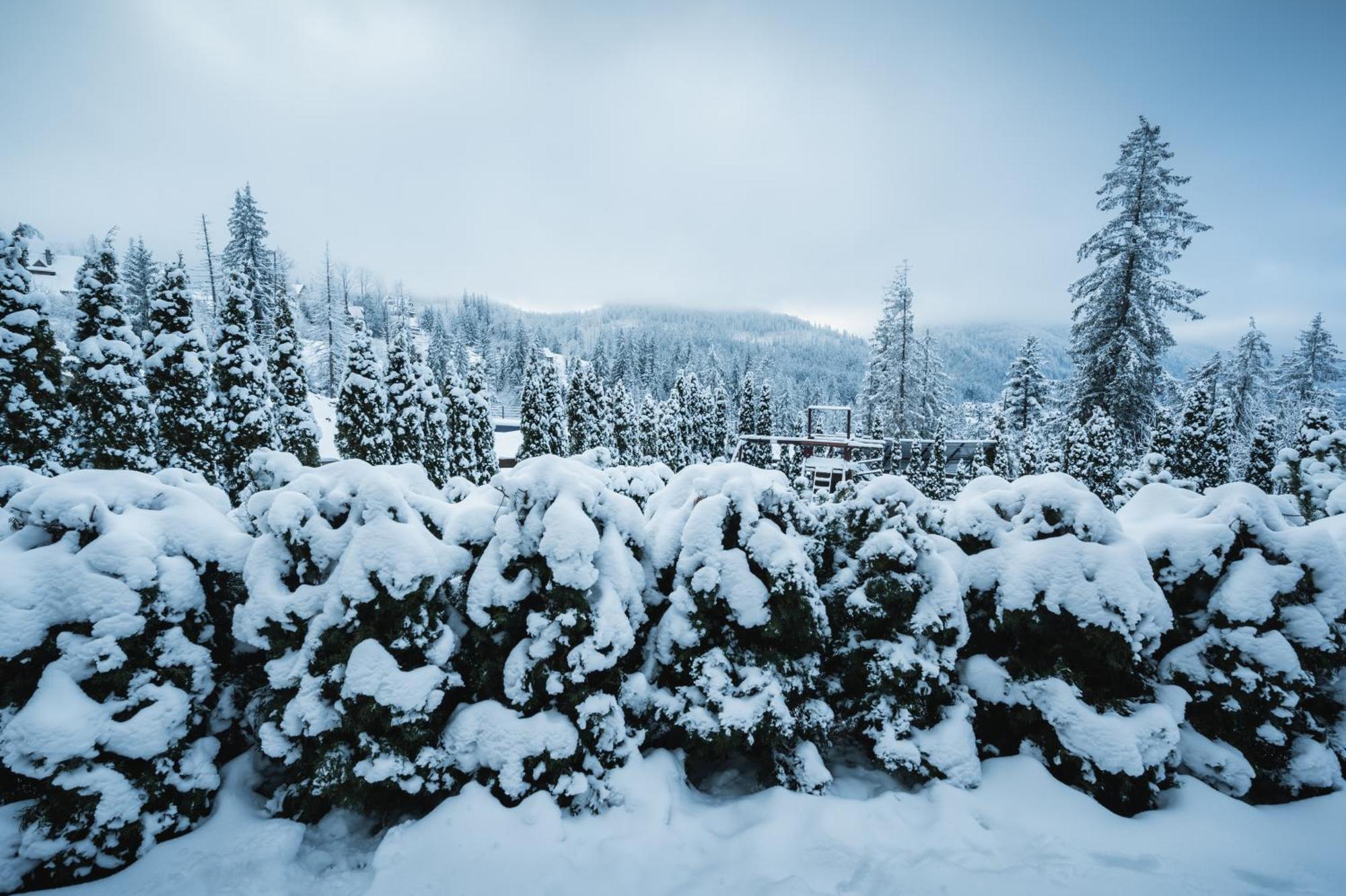 Visitzakopane - Janosik Apartment Ngoại thất bức ảnh