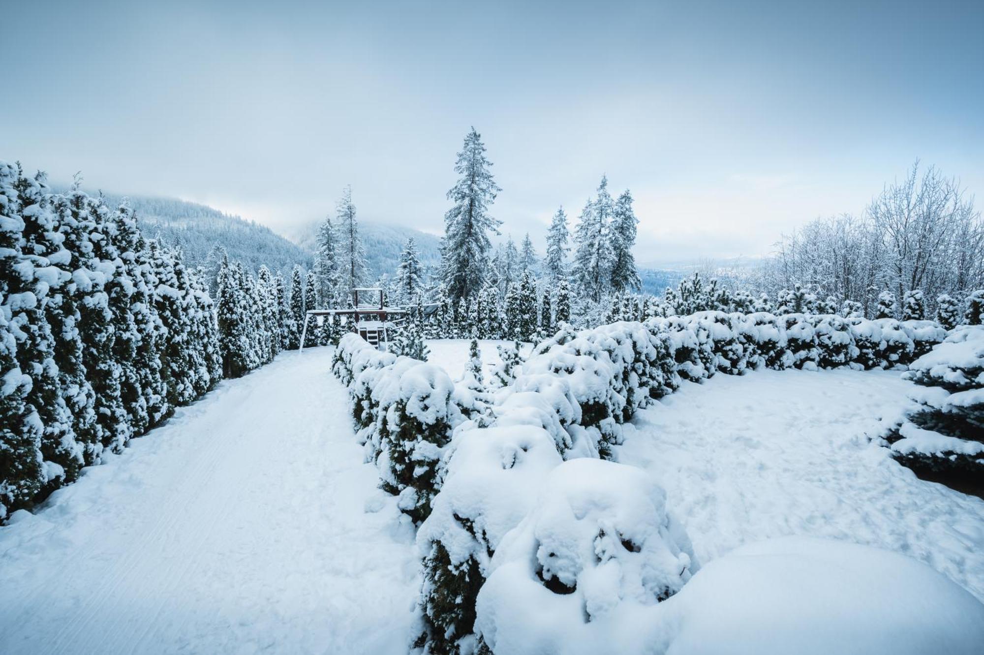 Visitzakopane - Janosik Apartment Ngoại thất bức ảnh